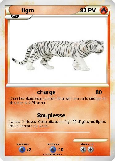 Pokemon tigro