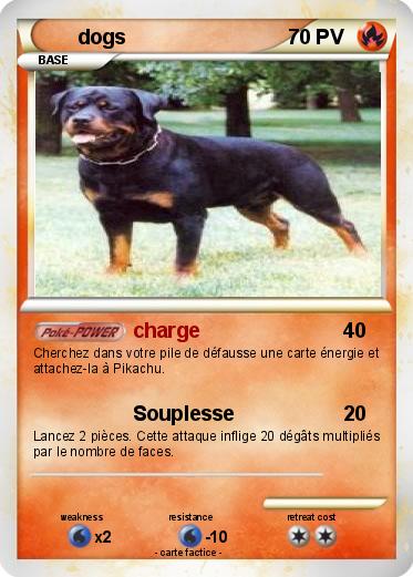 Pokemon dogs