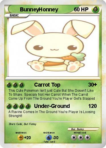 Pokemon BunneyHonney