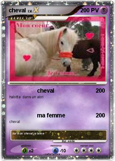 Pokemon cheval
