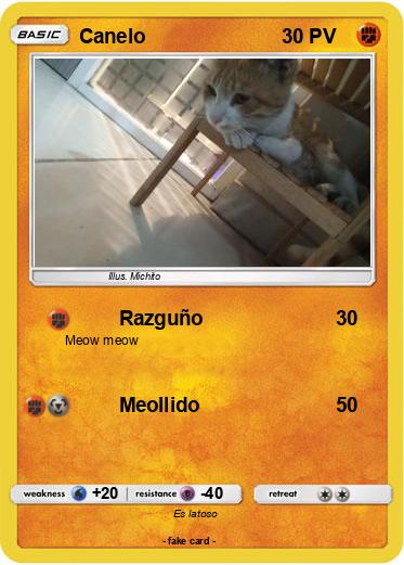Pokemon Canelo