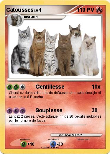 Pokemon Catousses