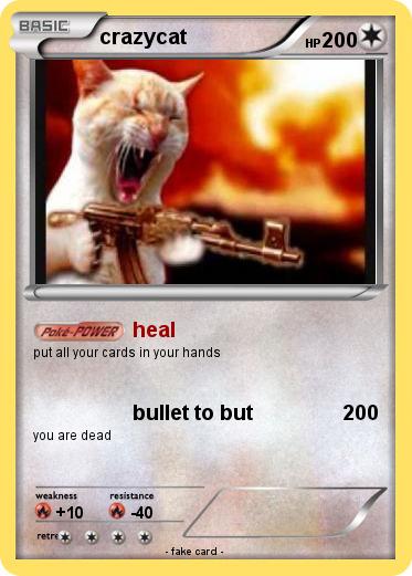 Pokemon crazycat