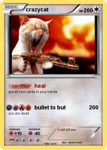 Pokemon crazycat