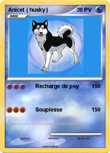 Pokemon Anicet ( husky )
