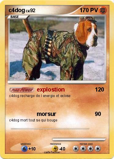 Pokemon c4dog