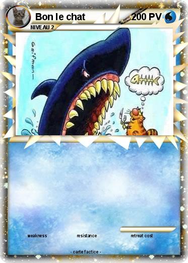 Pokemon Bon le chat
