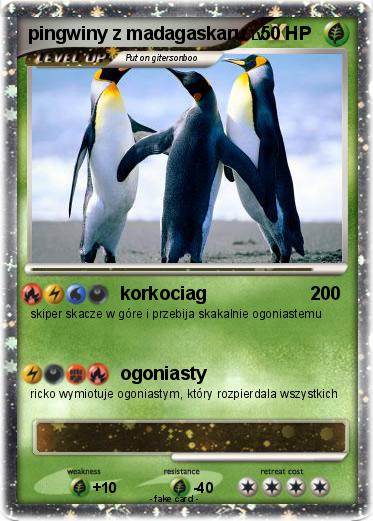 Pokemon pingwiny z madagaskaru