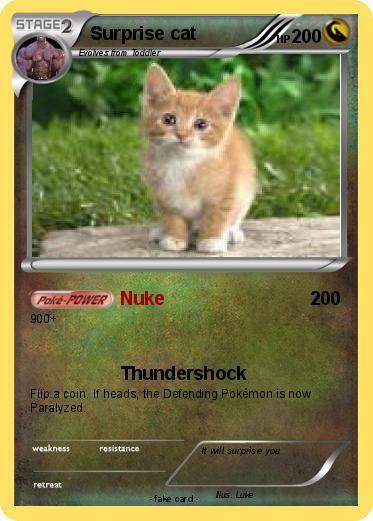 Pokemon Surprise cat