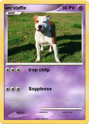 Pokemon am'staffie