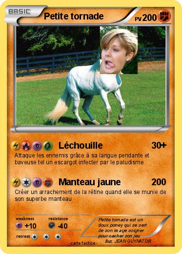 Pokemon Petite tornade