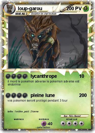 Pokemon loup-garou