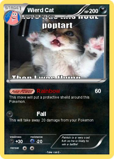 Pokemon Wierd Cat