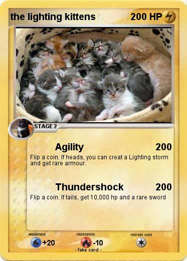 Pokemon the lighting kittens
