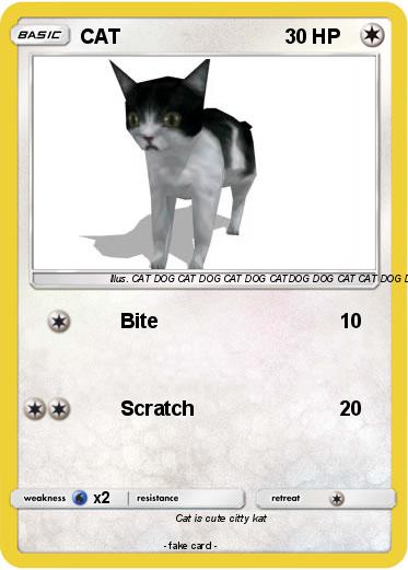Pokemon CAT