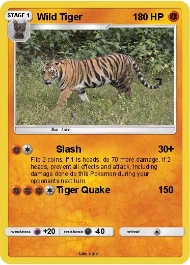Pokemon Wild Tiger