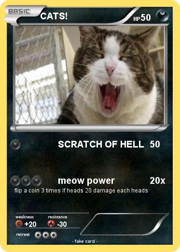 Pokemon CATS!