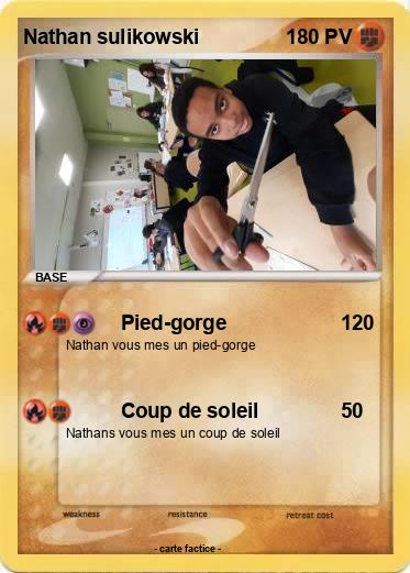 Pokemon Nathan sulikowski