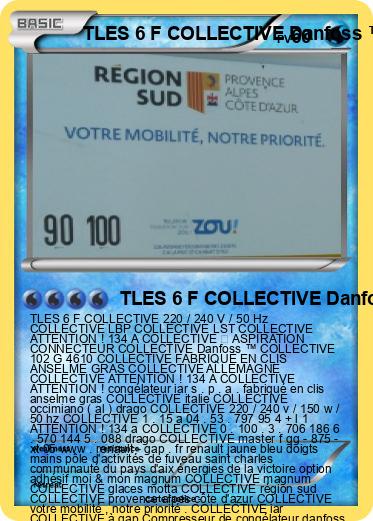 Pokemon TLES 6 F COLLECTIVE Danfoss ™