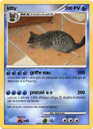 Pokemon kitty
