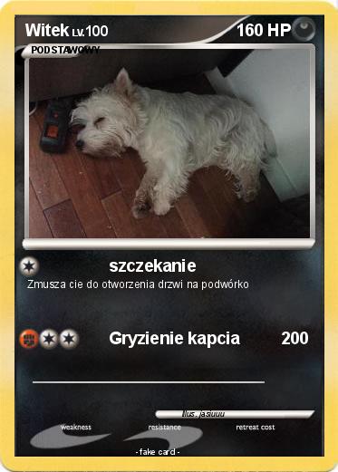 Pokemon Witek