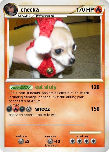 Pokemon checka