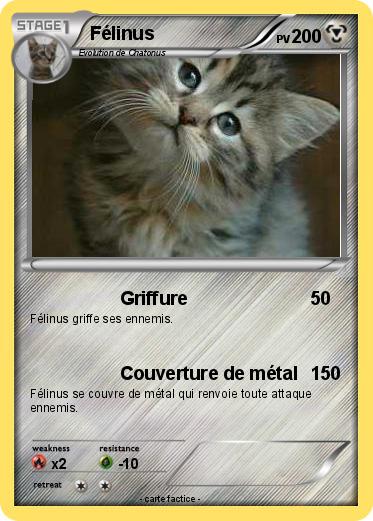 Pokemon Félinus