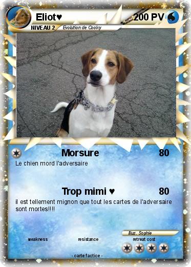 Pokemon Eliot♥