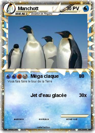 Pokemon Manchott