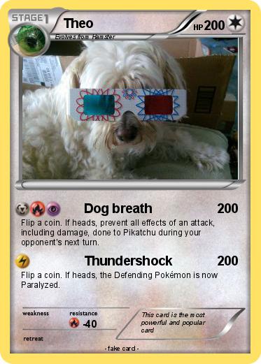 Pokemon Theo