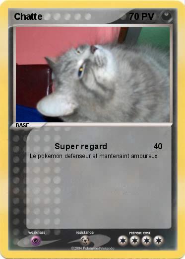 Pokemon Chatte