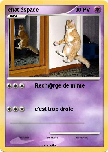 Pokemon chat éspace