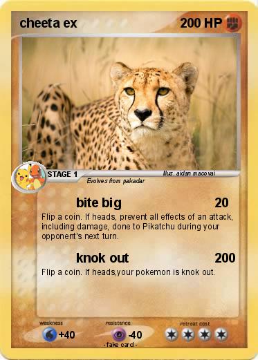 Pokemon cheeta ex