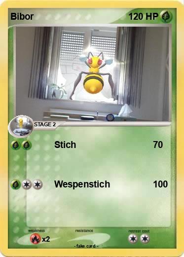 Pokemon Bibor
