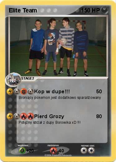 Pokemon Elite Team