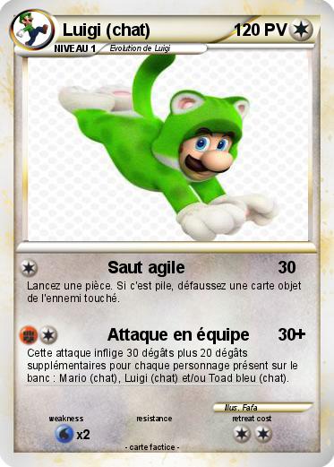 Pokemon Luigi (chat)