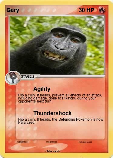 Pokemon Gary