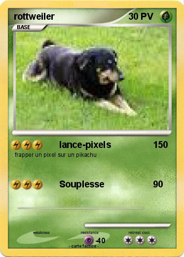 Pokemon rottweiler