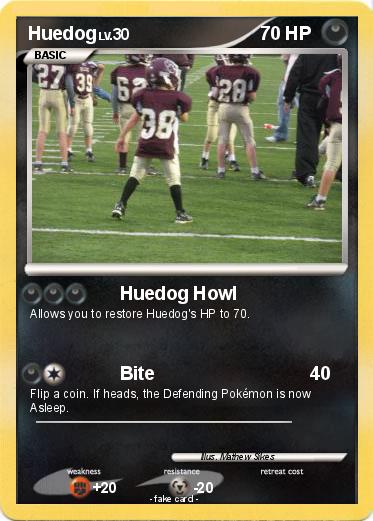 Pokemon Huedog