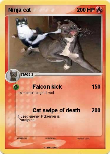 Pokemon Ninja cat