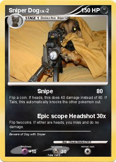 Pokemon Sniper Dog