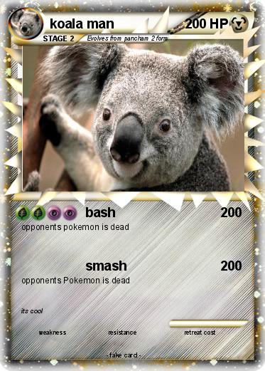 Pokemon koala man