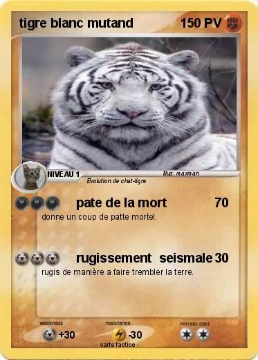 Pokemon tigre blanc mutand