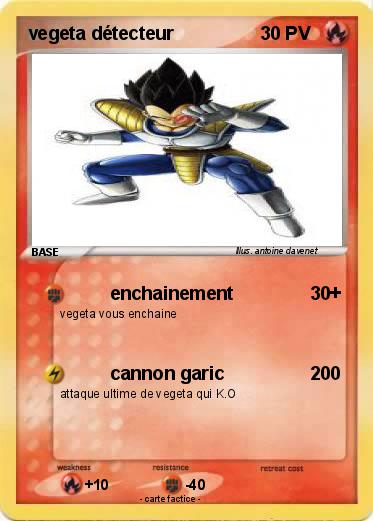 Pokemon vegeta détecteur