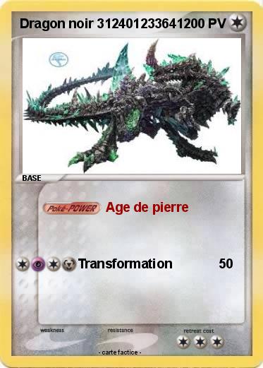 Pokemon Dragon noir 312401233641