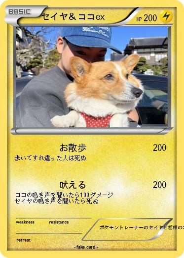 Pokemon セイヤ＆ココex