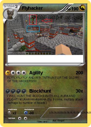 Pokemon Flyhacker