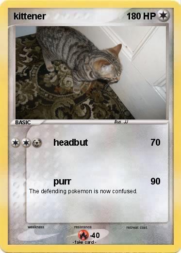 Pokemon kittener