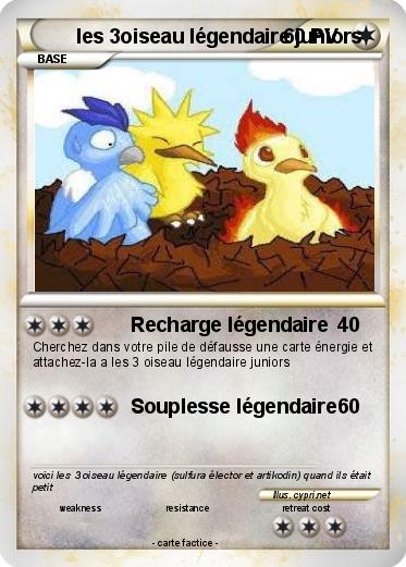 Pokemon les 3oiseau légendaire juniors