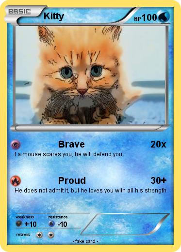 Pokemon Kitty